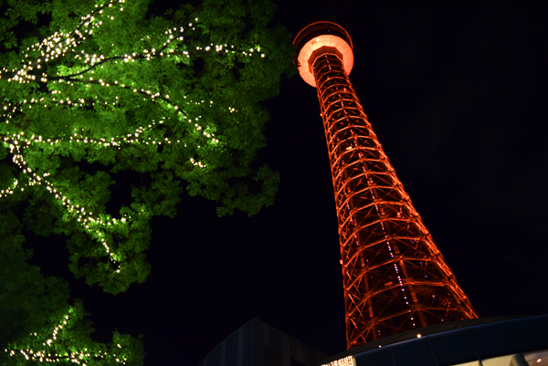 141224 yamashita DSC_0023.jpg